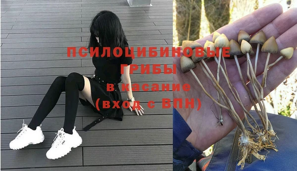 таблы Горняк