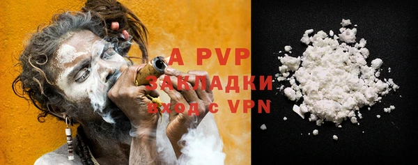 гидра Гусев