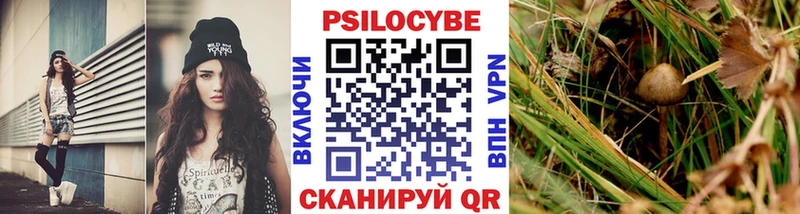 Галлюциногенные грибы ЛСД  Купить где  Каменногорск 